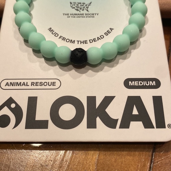 Beautiful brand new Lokai bracelet size medium beautiful mint green color - Picture 3 of 6